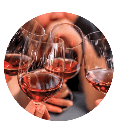 rosé wine women rosé rosé wine women rosé